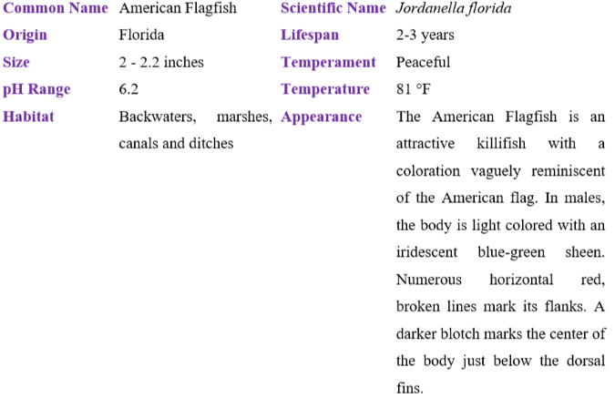 American Flagfish Table