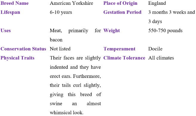 American yorkshire table