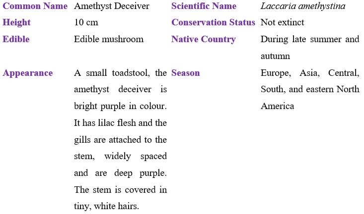 Amethyst-deceiver table