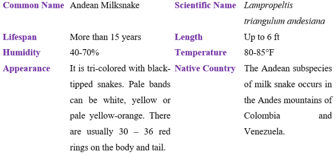 Andean milksnake table