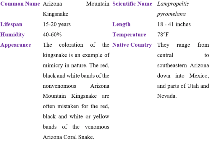 Arizona mountain kingsnake table