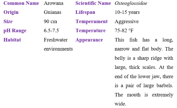 Arowana Table