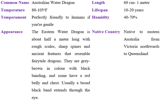 Australian water dragon table