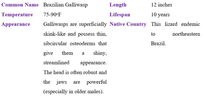 Brazilian Galliwasp table