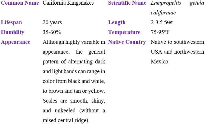 California kingsnake table