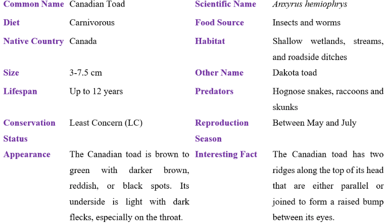Canadian Toad table