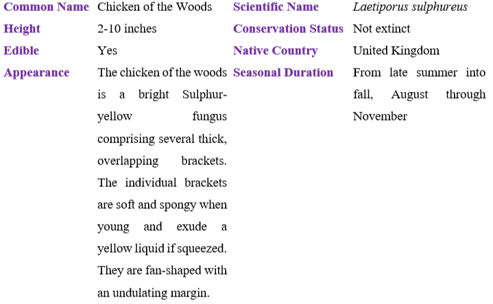 Chicken of the Woods table