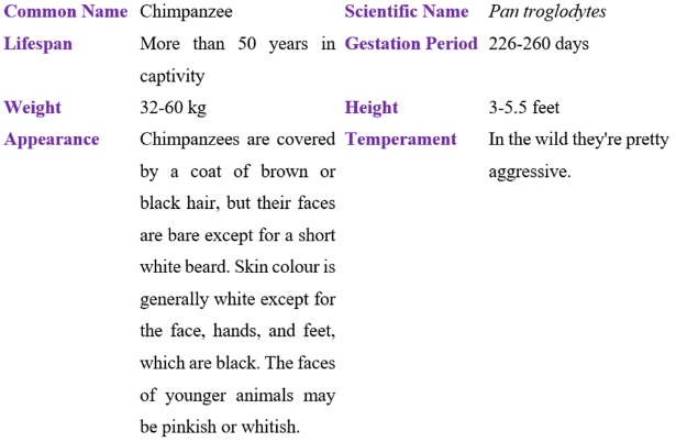 Chimpanzee table