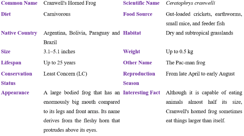 Cranwell's Horned Frog table