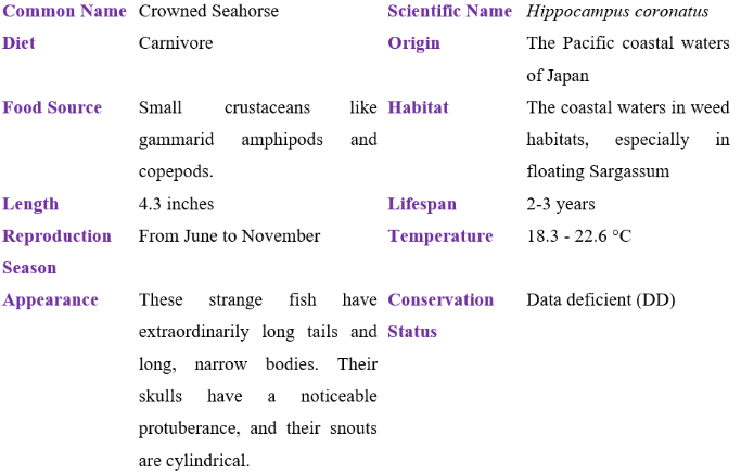 Crowned Seahorse table