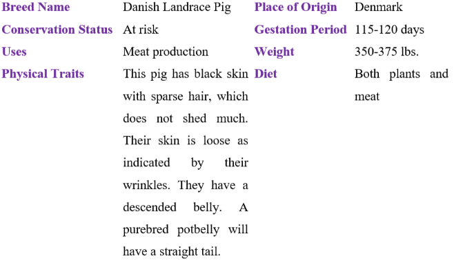 Danish landrace pig table