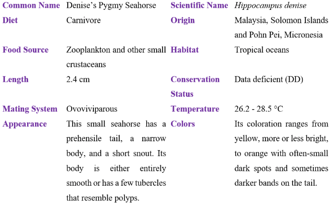 Denise’s Pygmy Seahorse table