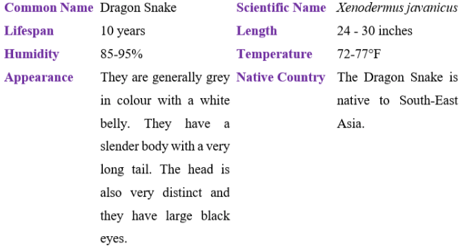 Dragon snake table