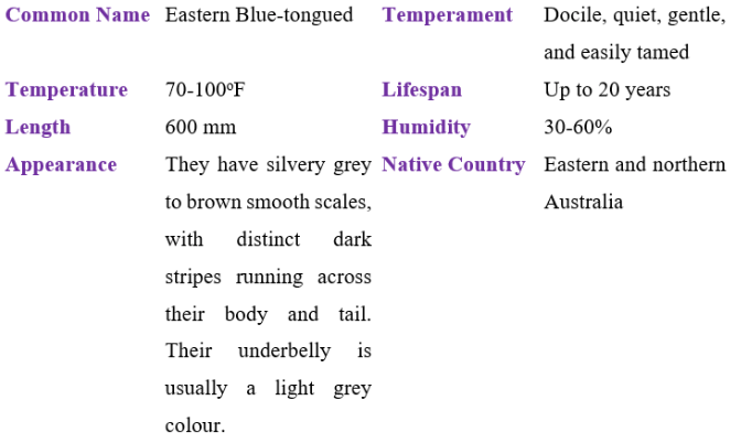 Eastern Blue-Tongue table