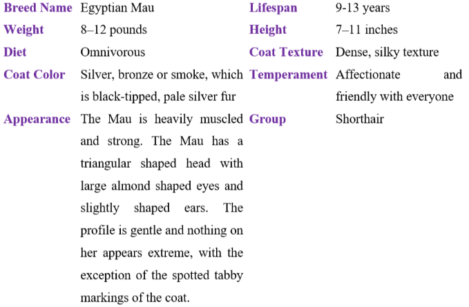 Egyptian Mau table