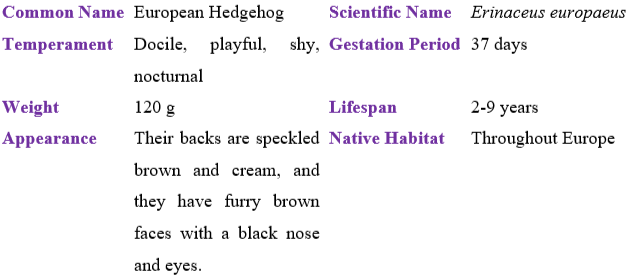 European Hedgehog table