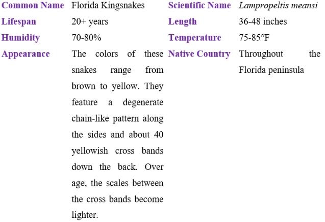 Florida kingsnake table
