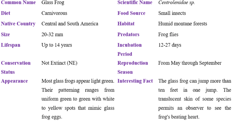 Glass Frog table