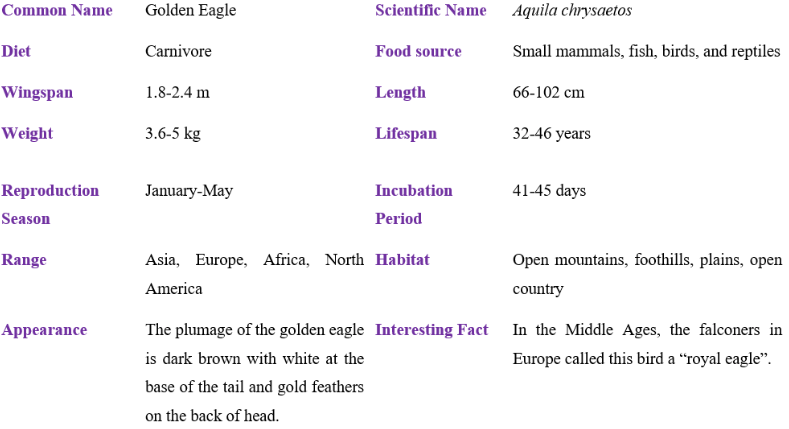 Golden Eagle table