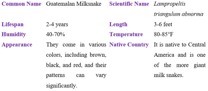 Guatemalan milksnake table