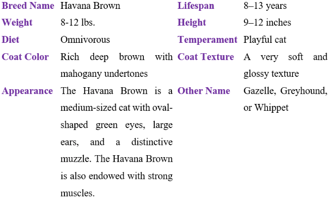Havana brown table