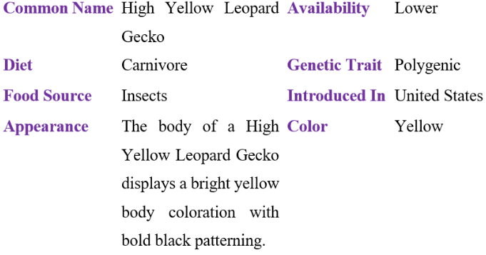 High Yellow Leopard Gecko table