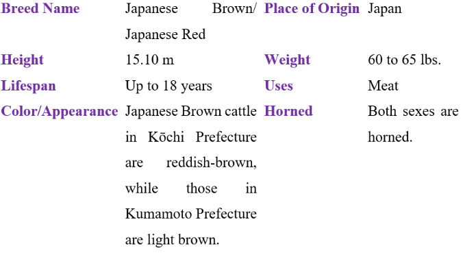 Japanese brown table