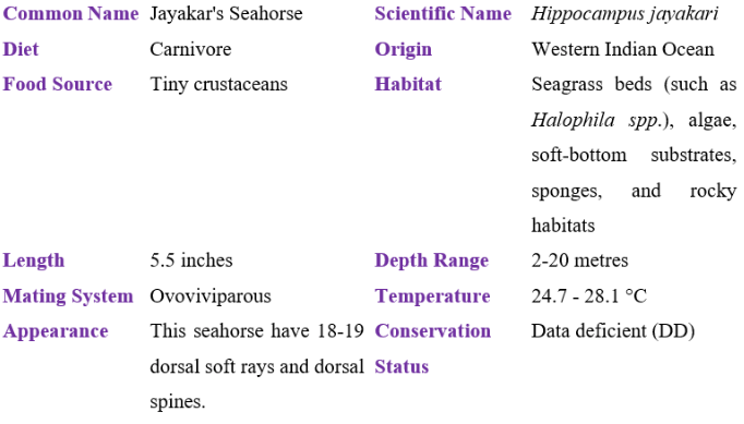 Jayakar's Seahorse table