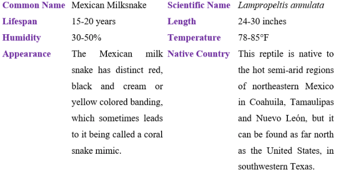 Mexican milksnake table