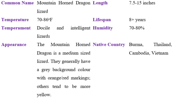 Mountain horned dragon table