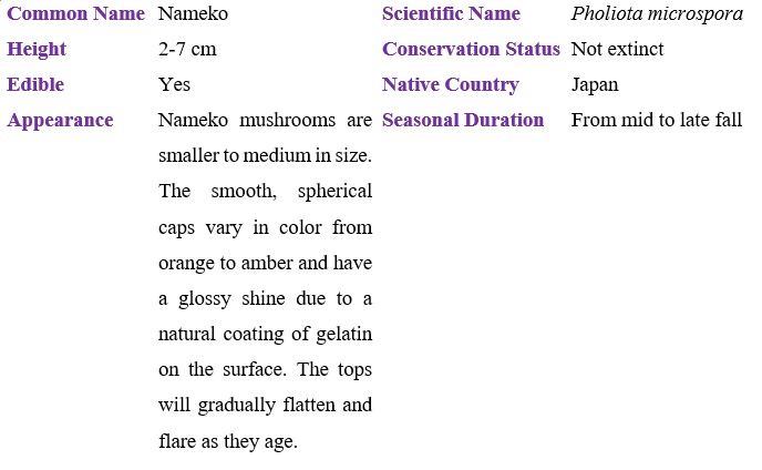 Nameko table