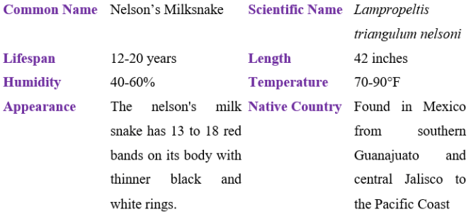 Nelson's milksnake table
