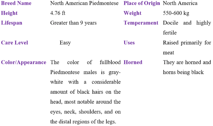 North American Piedmontese table