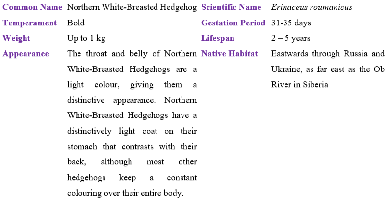 Northern White-Breasted Hedgehog table