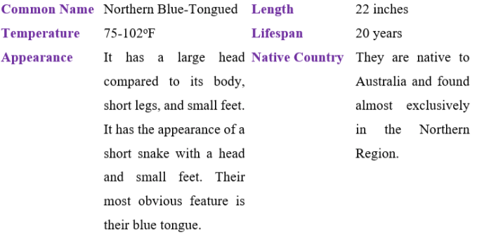 Northern blue-tongued table