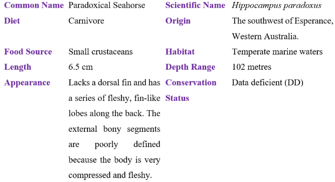 Paradoxical Seahorse table