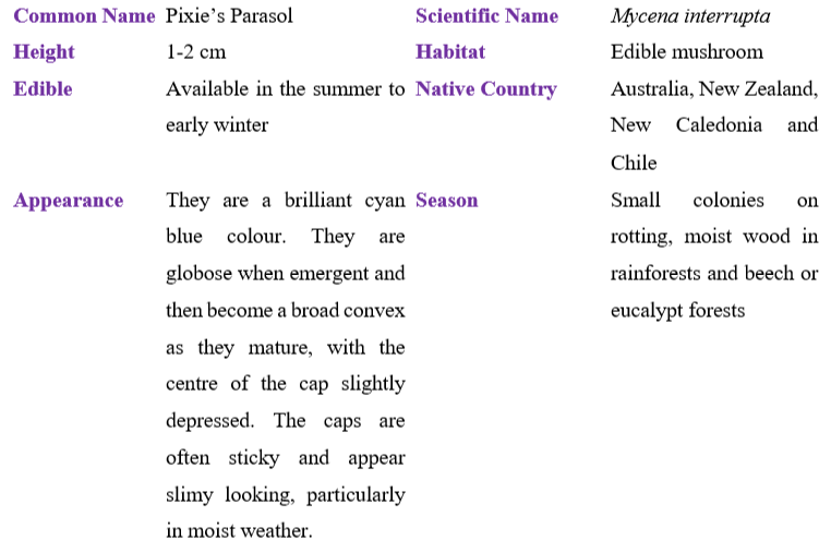 Pixie’s Parasol table