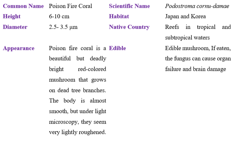 Poison Fire Coral table