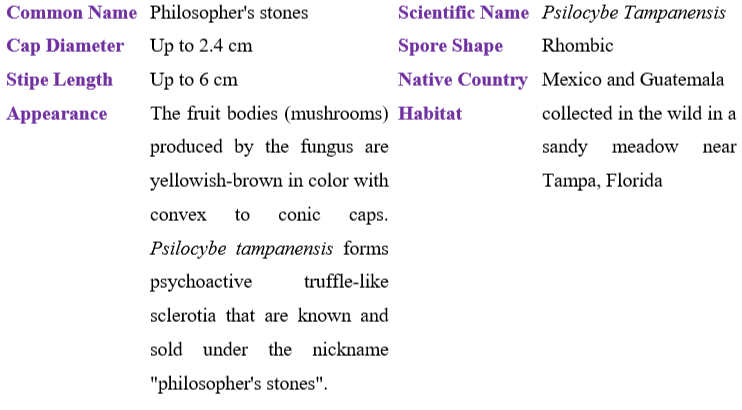 Psilocybe Tampanensis table