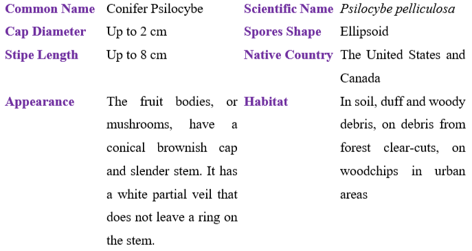 Psilocybe pelliculosa table
