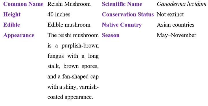 Reishi Mushroom table
