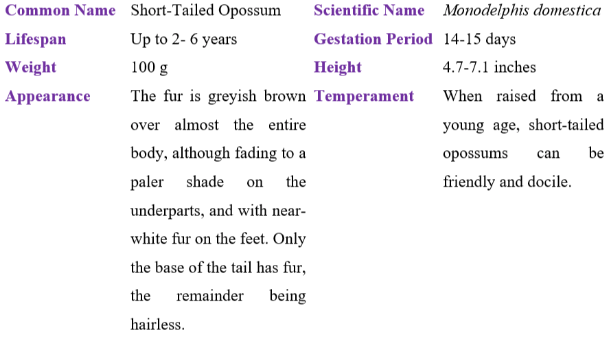 Short-tailed opossun table