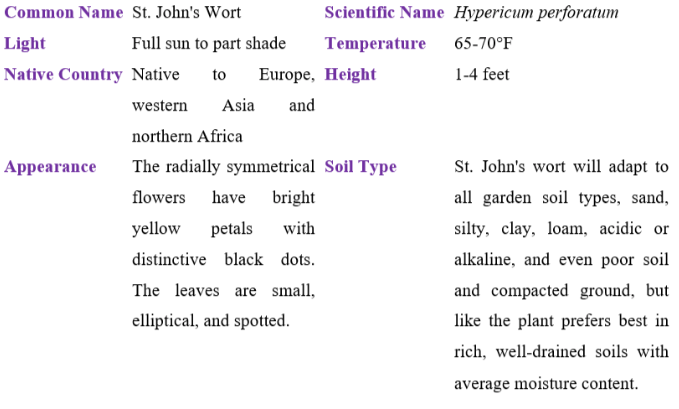 St. John's Wort table