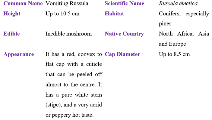 Vomiting Russula table