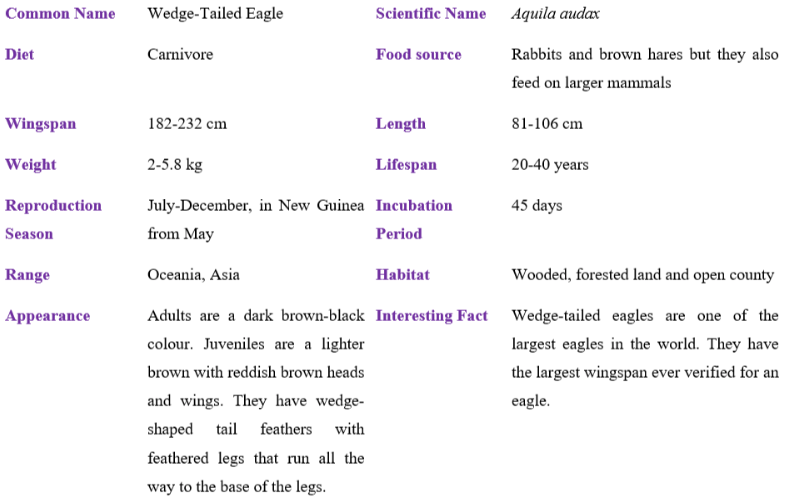Wedge-Tailed Eagle table