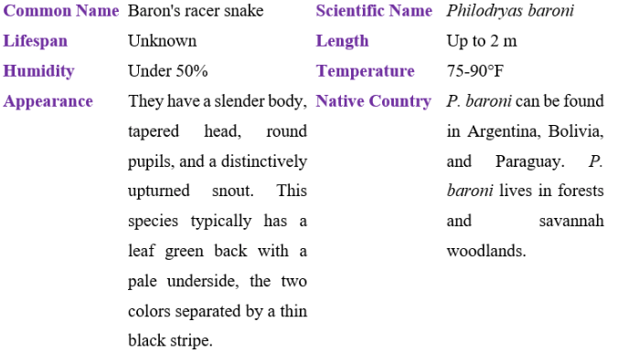 baron's racer snake table