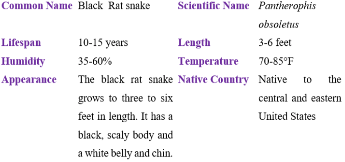 black rat snake table