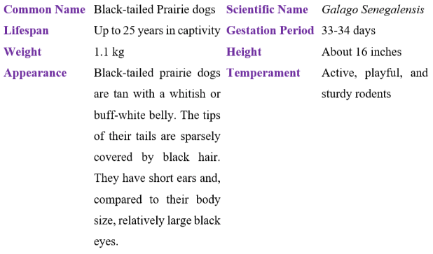 black-tailed prairie dog table