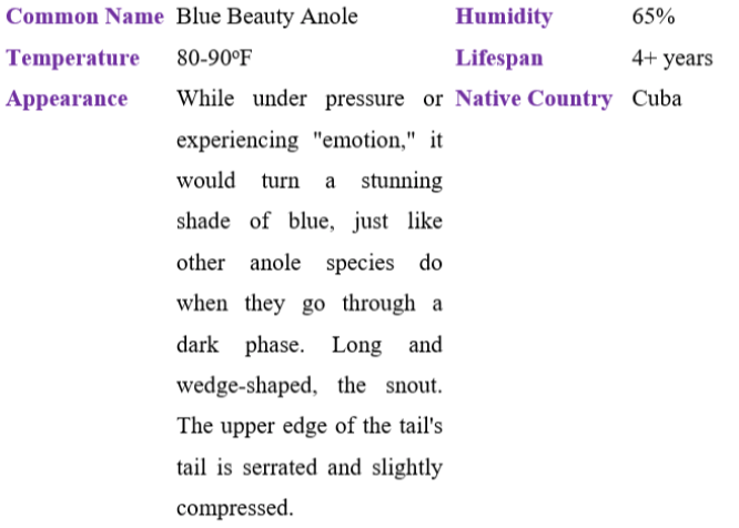 blue beauty anole table