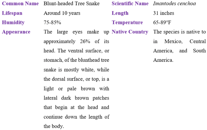 blunt-headed tree snake table